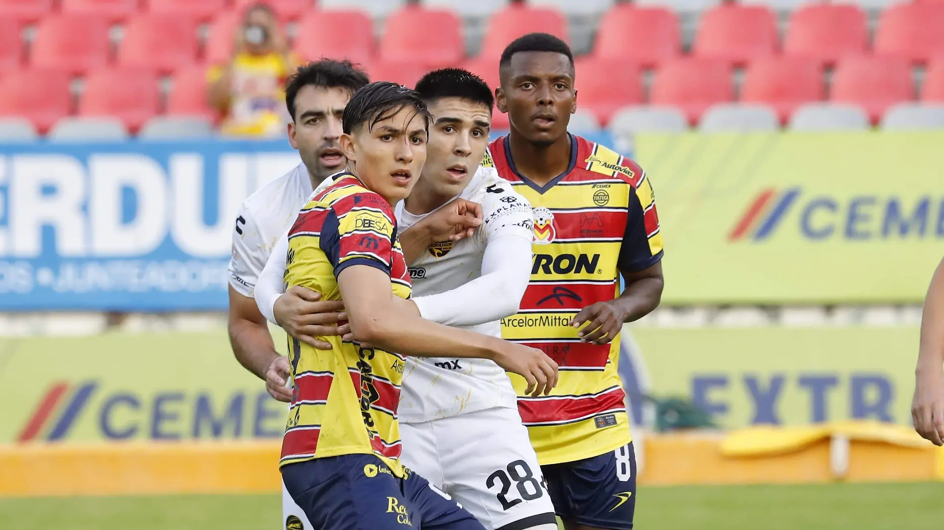 morelia dorados